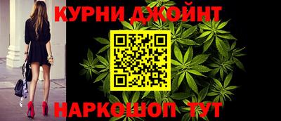 шишки Кингисепп