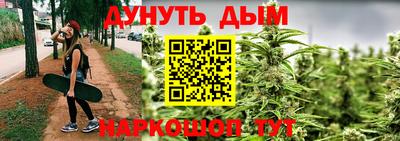 трава Кинель