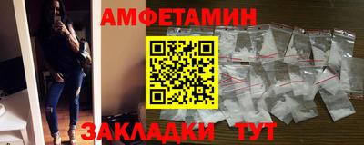 шишки Кингисепп